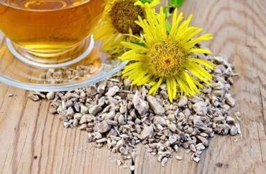 Un decotto di radice di girasole rimuove i sali dalla cartilagine articolare nei casi di osteocondrosi toracica